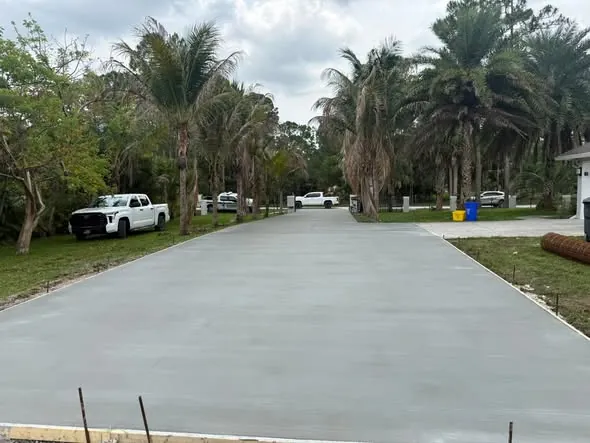 Wide new concrete driveway lined with palm trees